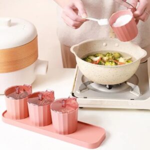 4 Pcs Candy Seasoning Box